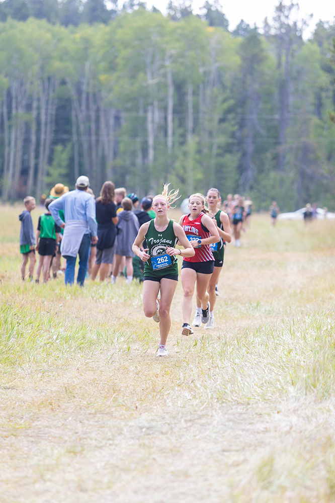 %_tempFileName1M6A8339%