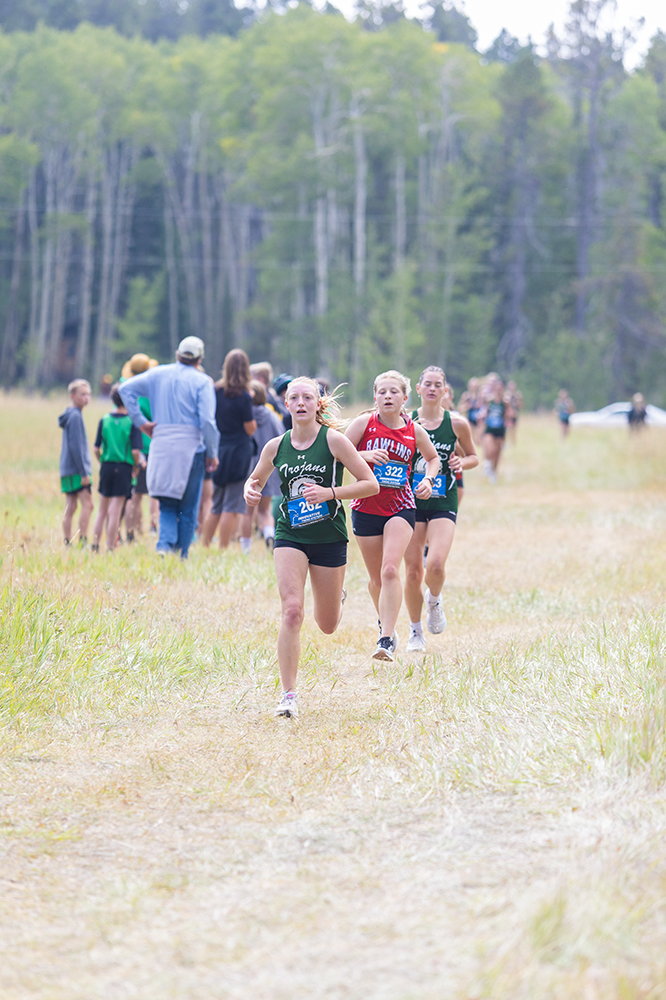 %_tempFileName1M6A8343%