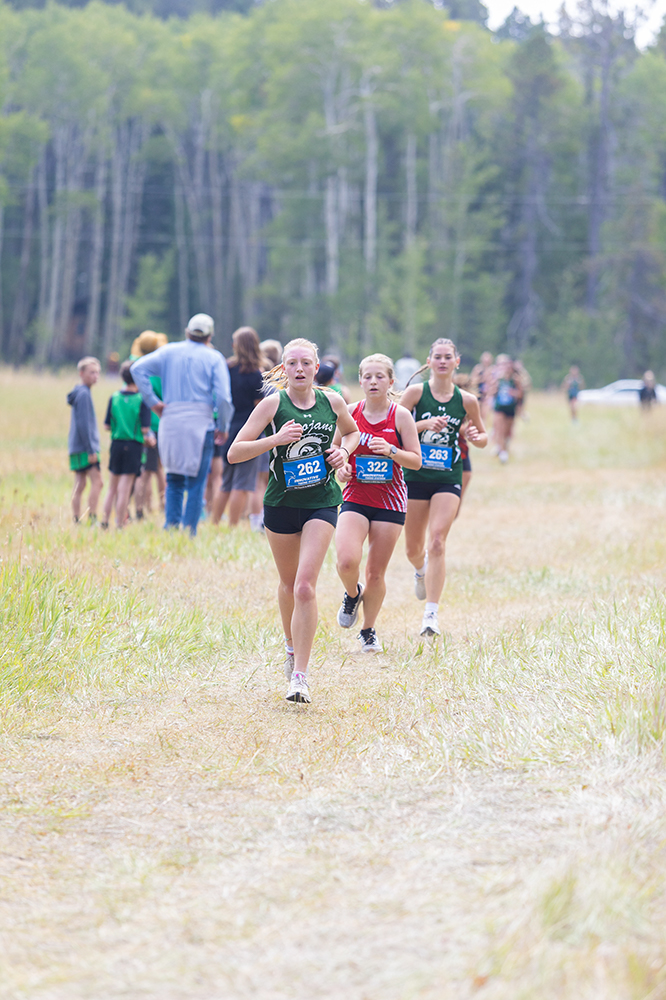 %_tempFileName1M6A8346%