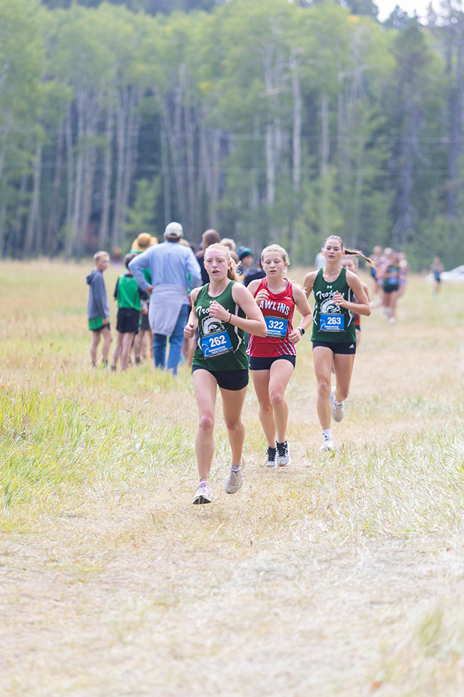 %_tempFileName1M6A8347%