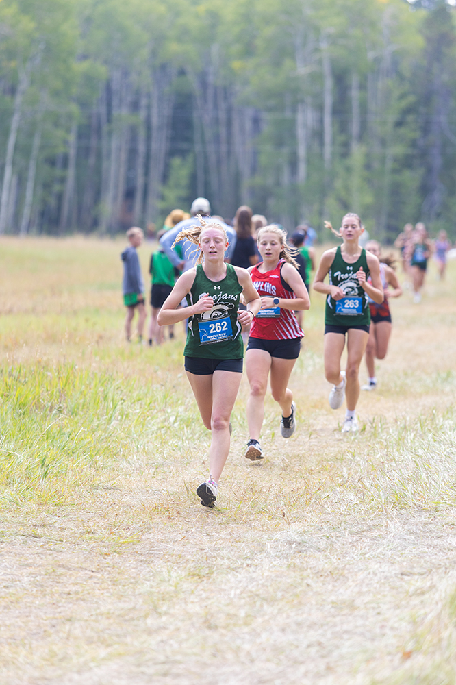 %_tempFileName1M6A8353%