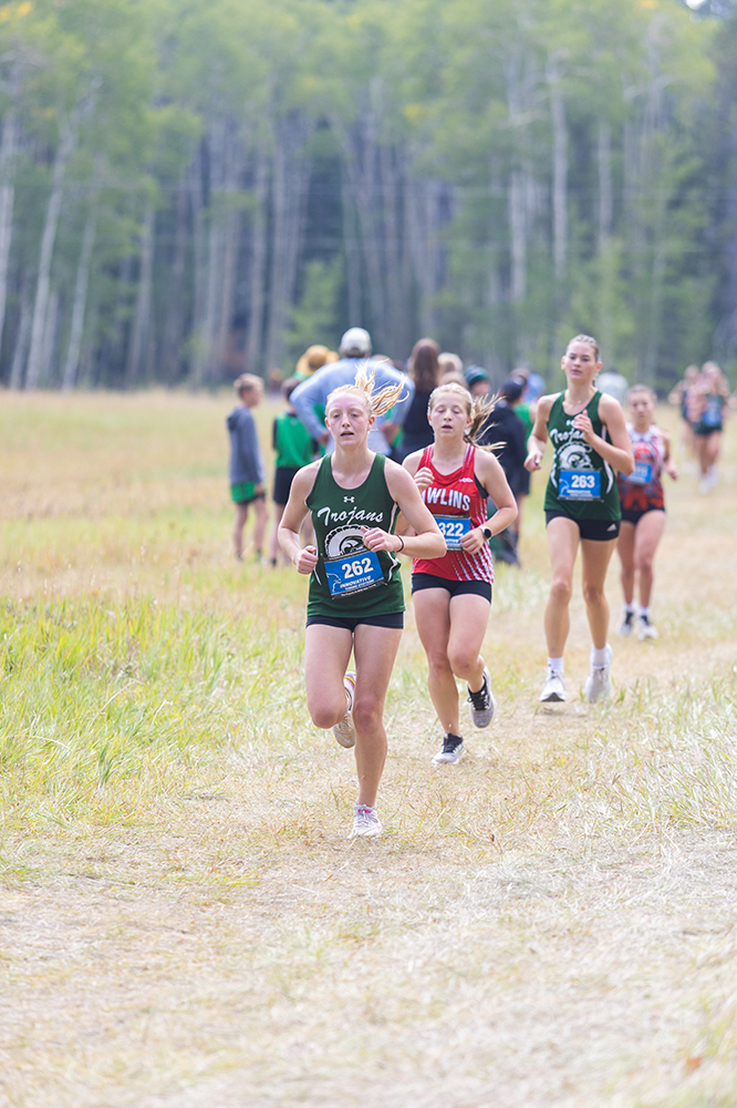 %_tempFileName1M6A8355%