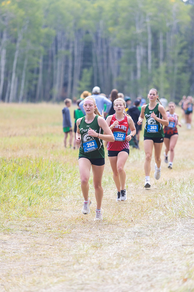 %_tempFileName1M6A8356%