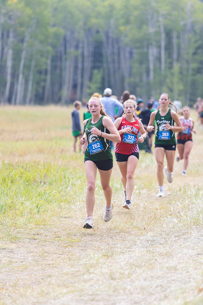 %_tempFileName1M6A8357%