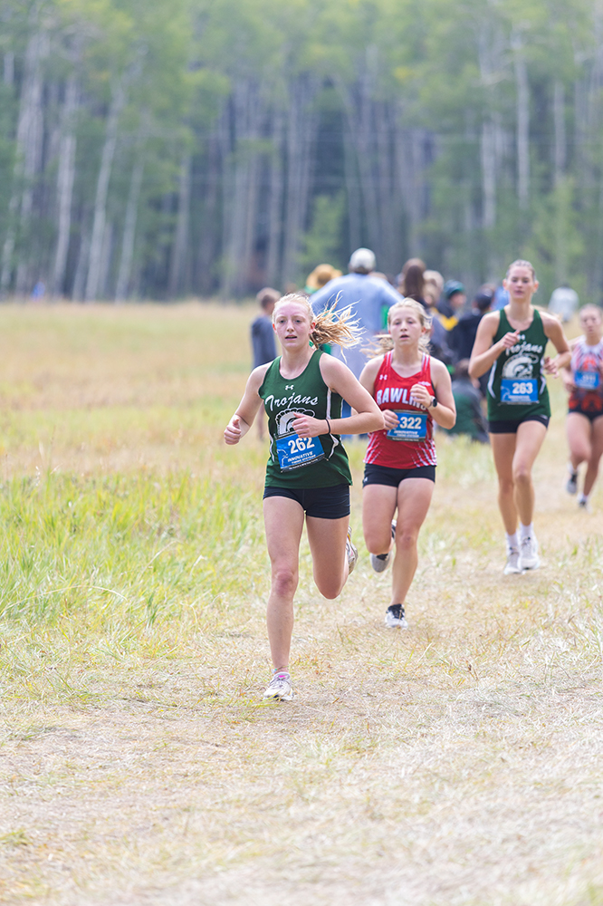 %_tempFileName1M6A8359%