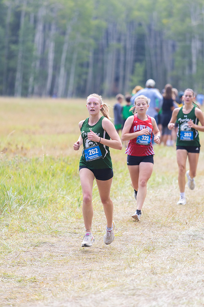 %_tempFileName1M6A8364%