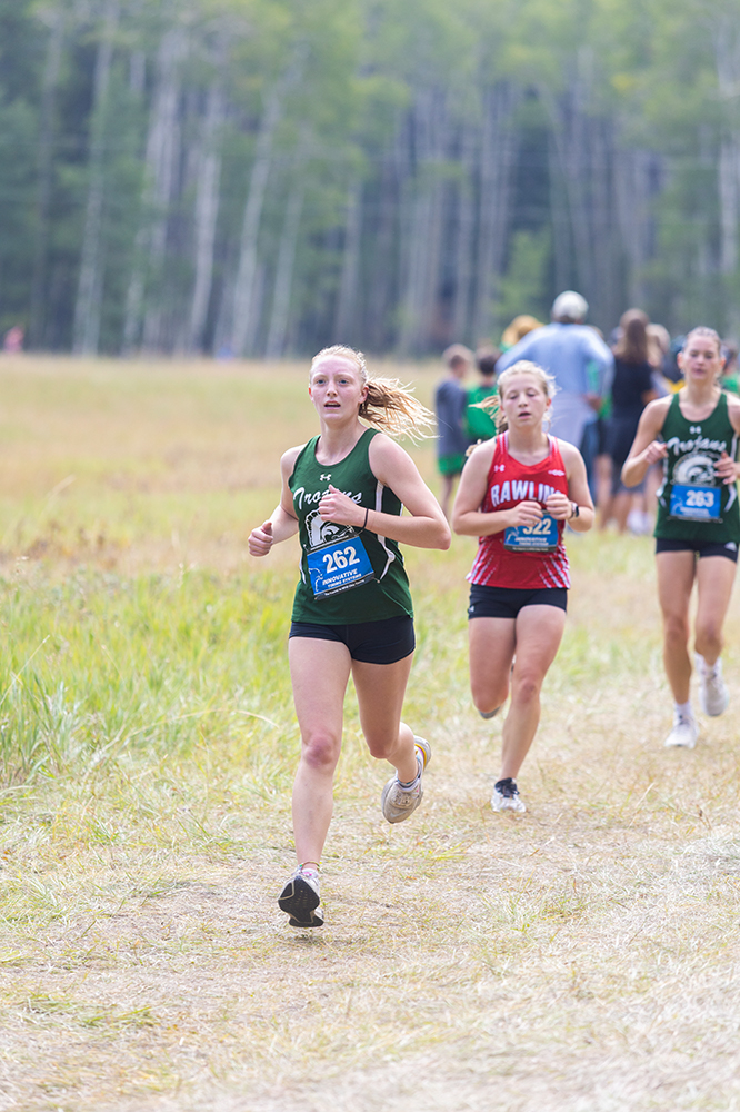 %_tempFileName1M6A8365%