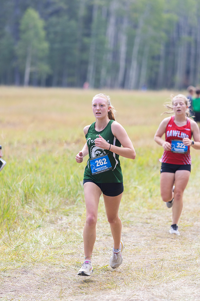 %_tempFileName1M6A8374%