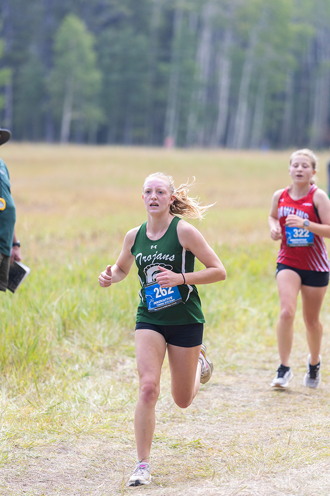 %_tempFileName1M6A8376%