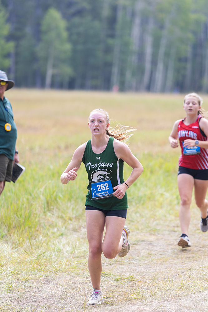 %_tempFileName1M6A8377%