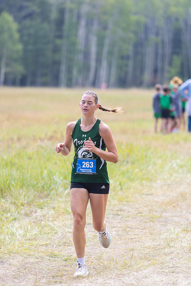 %_tempFileName1M6A8391%