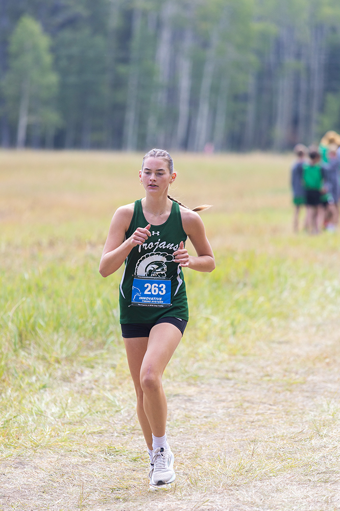 %_tempFileName1M6A8393%