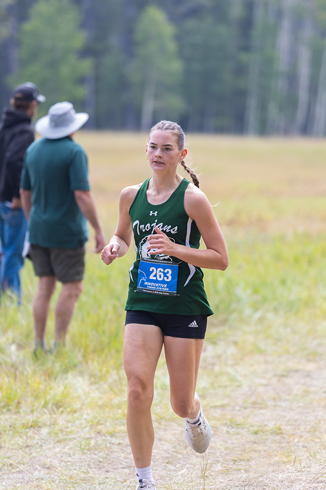 %_tempFileName1M6A8401%