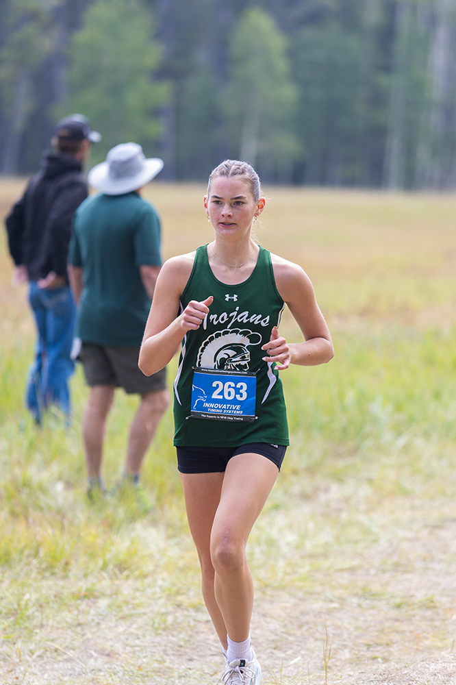 %_tempFileName1M6A8403%