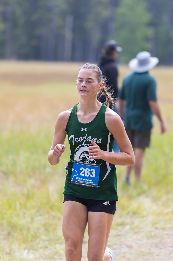 %_tempFileName1M6A8411%