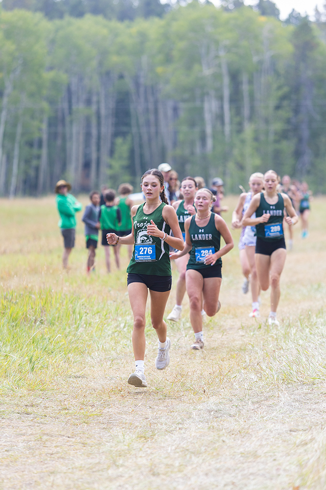 %_tempFileName1M6A8433%