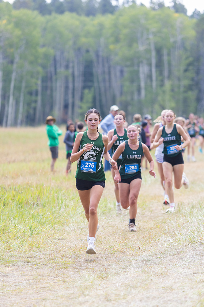 %_tempFileName1M6A8438%