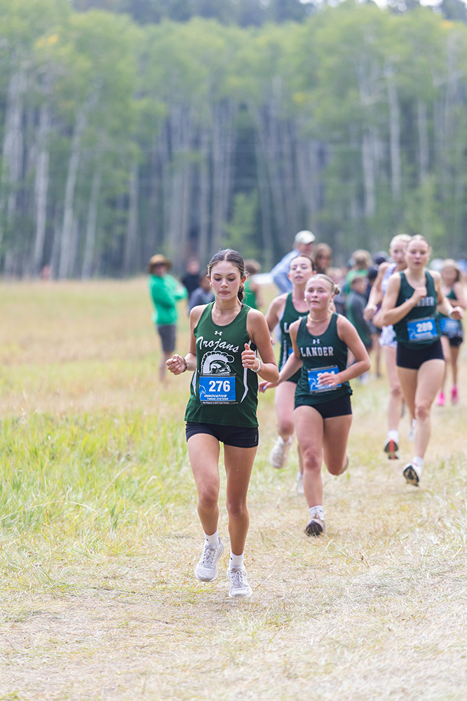 %_tempFileName1M6A8442%