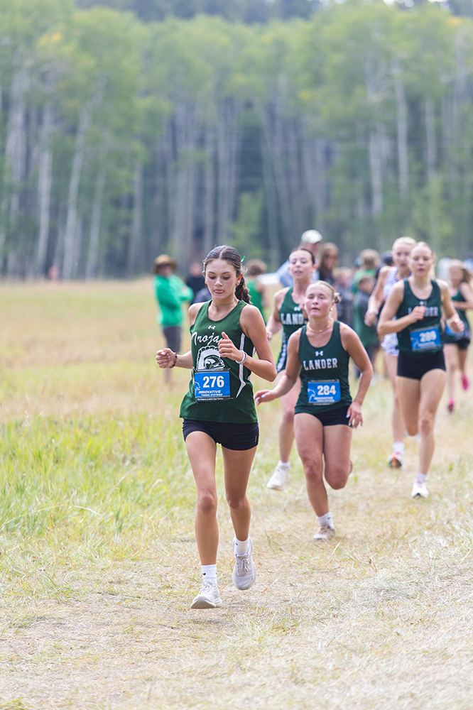 %_tempFileName1M6A8443%