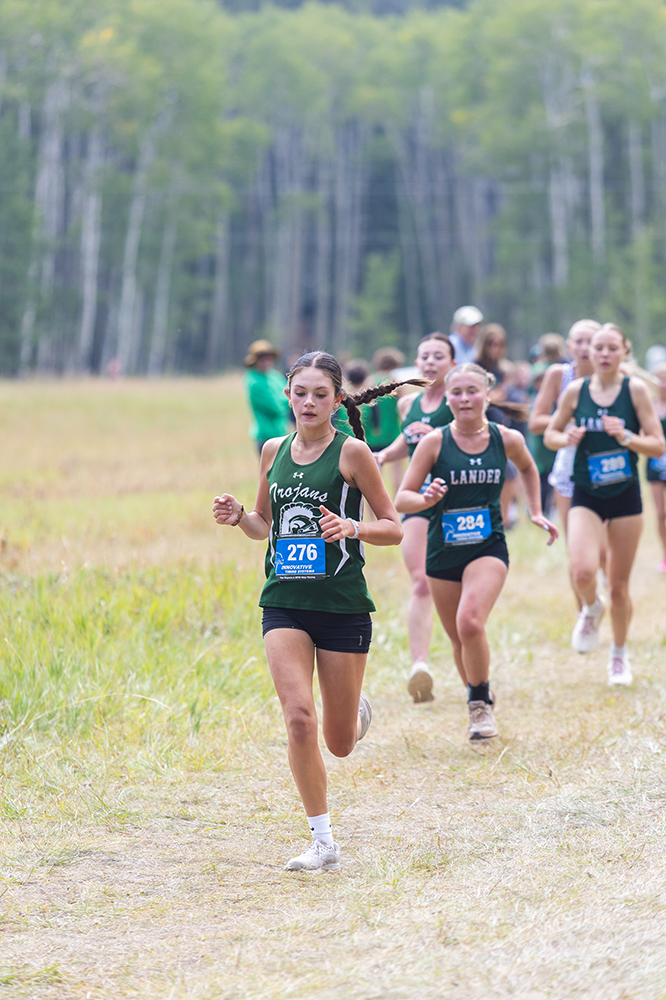 %_tempFileName1M6A8445%