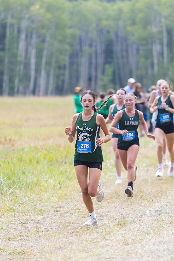 %_tempFileName1M6A8446%