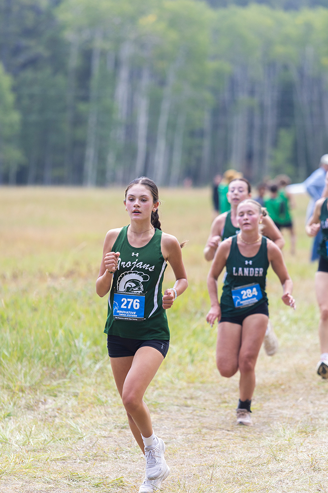 %_tempFileName1M6A8454%