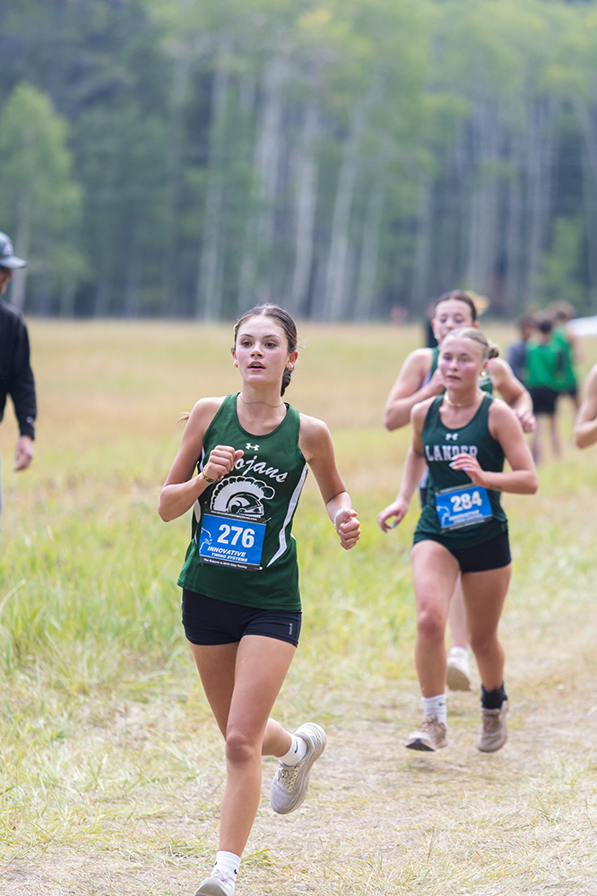 %_tempFileName1M6A8456%