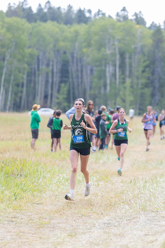 %_tempFileName1M6A8481%