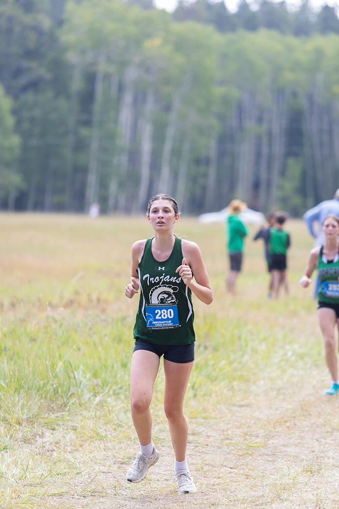 %_tempFileName1M6A8496%