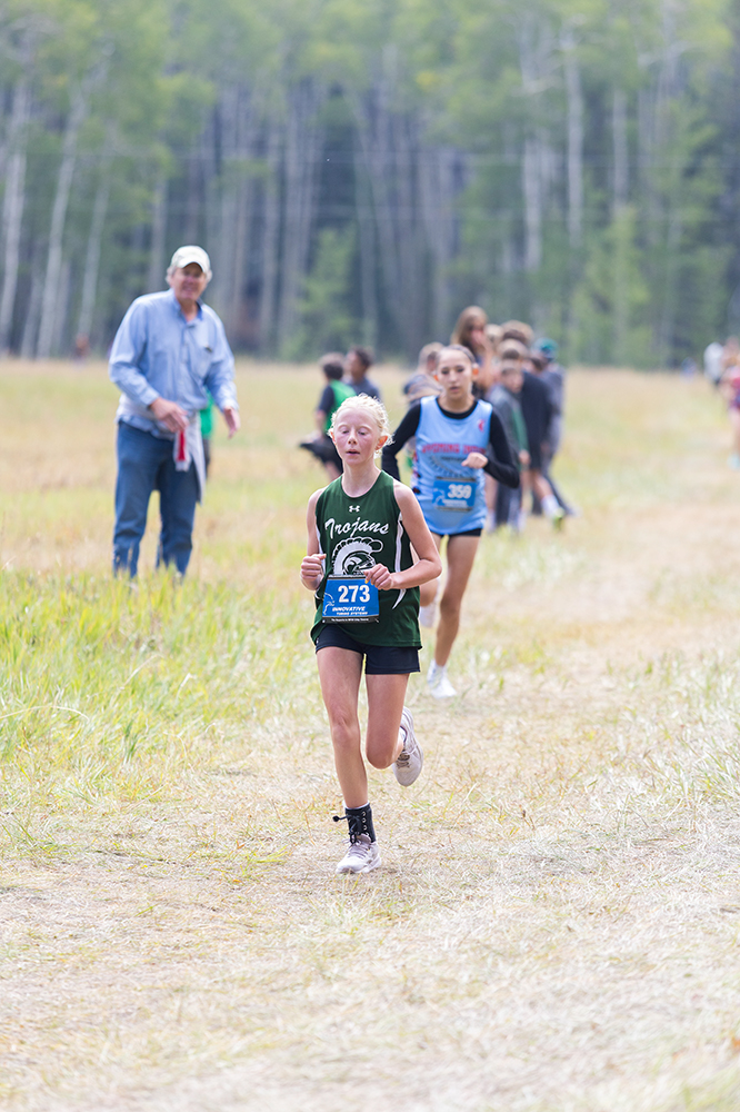 %_tempFileName1M6A8531%