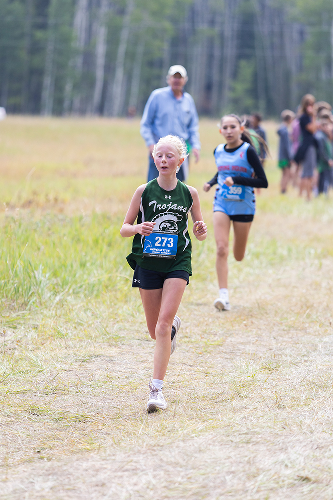 %_tempFileName1M6A8533%