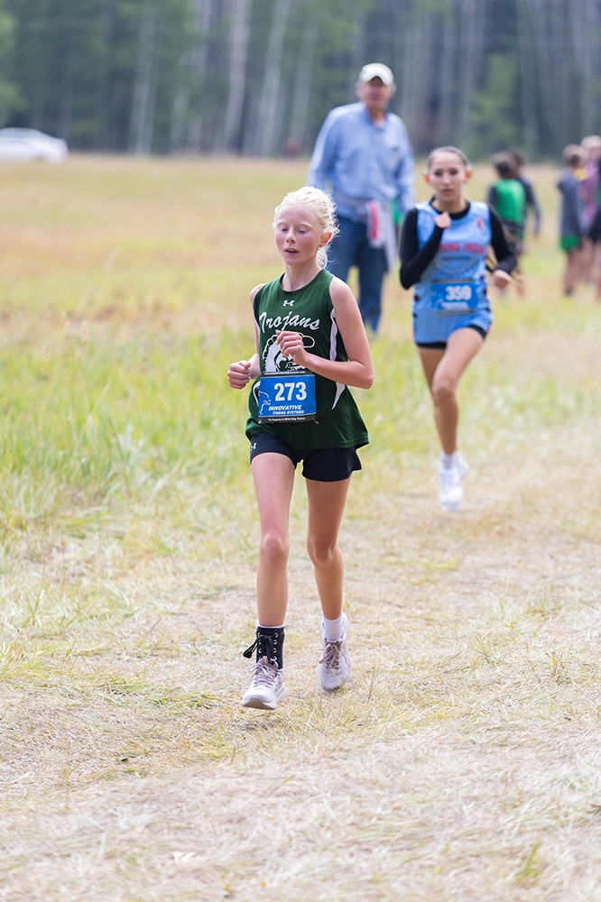 %_tempFileName1M6A8536%