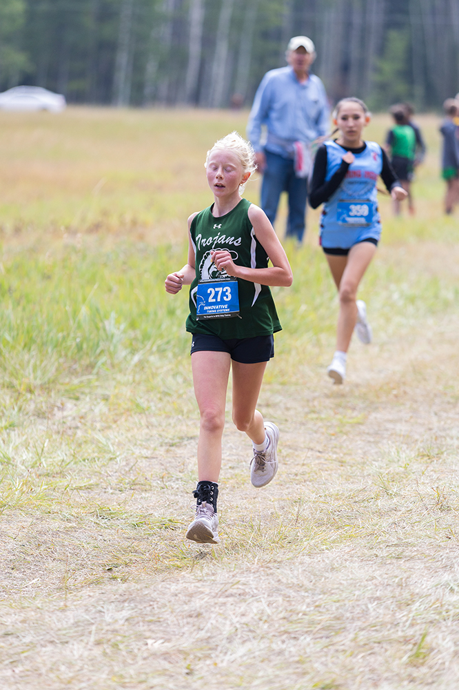 %_tempFileName1M6A8537%