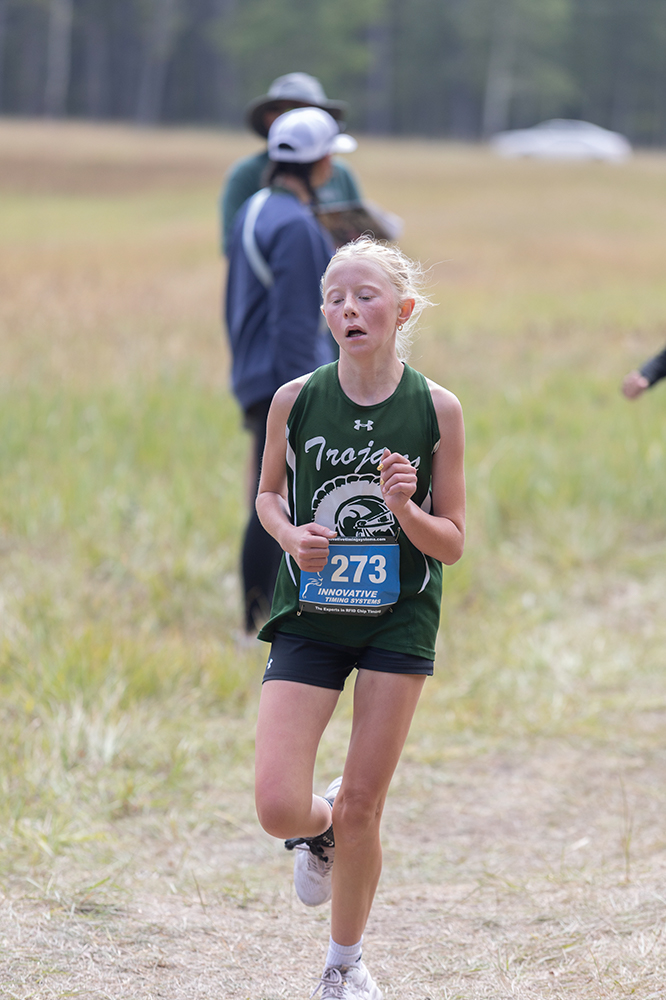 %_tempFileName1M6A8545%