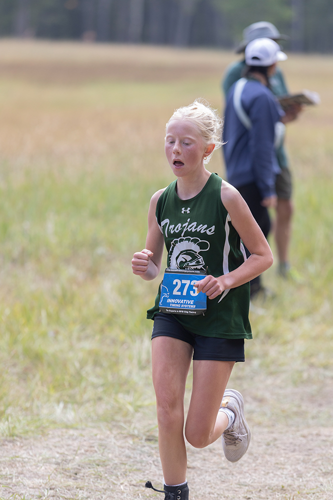 %_tempFileName1M6A8549%