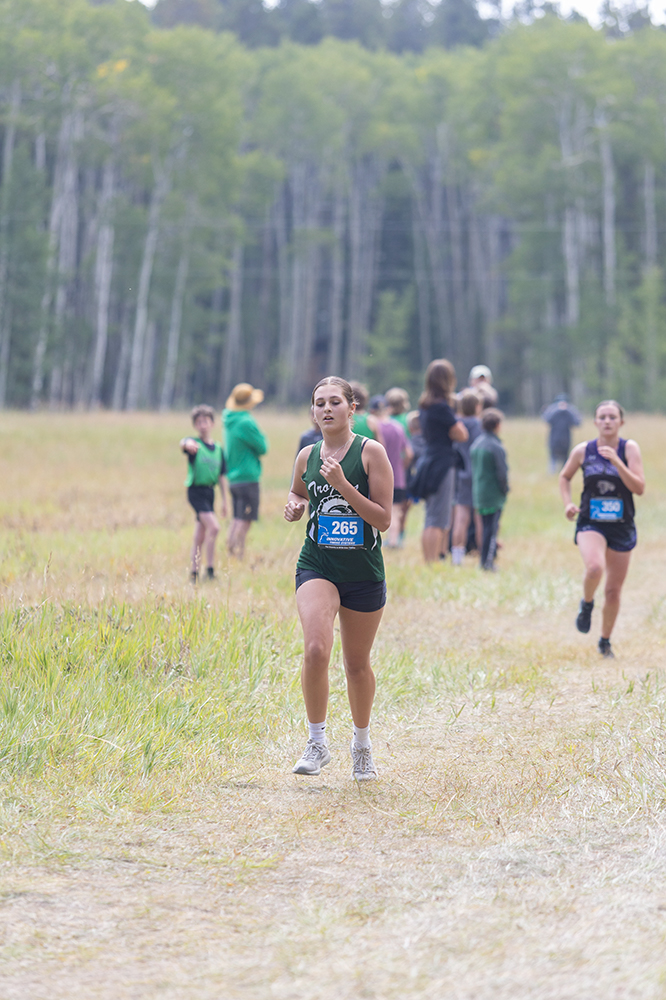 %_tempFileName1M6A8554%