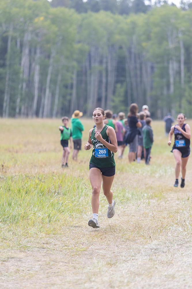 %_tempFileName1M6A8555%