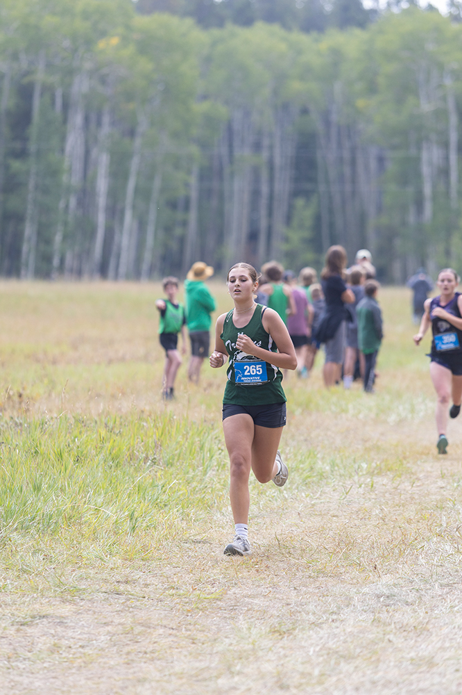 %_tempFileName1M6A8556%