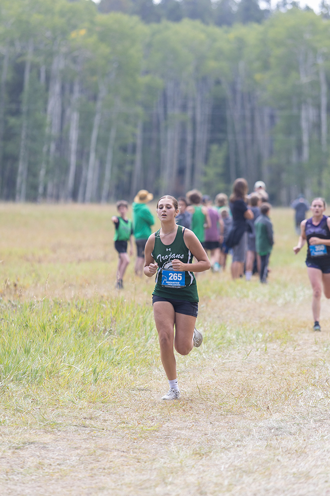 %_tempFileName1M6A8557%