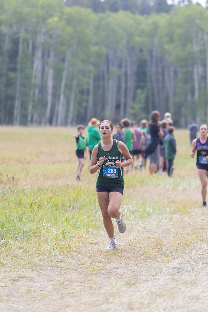 %_tempFileName1M6A8558%