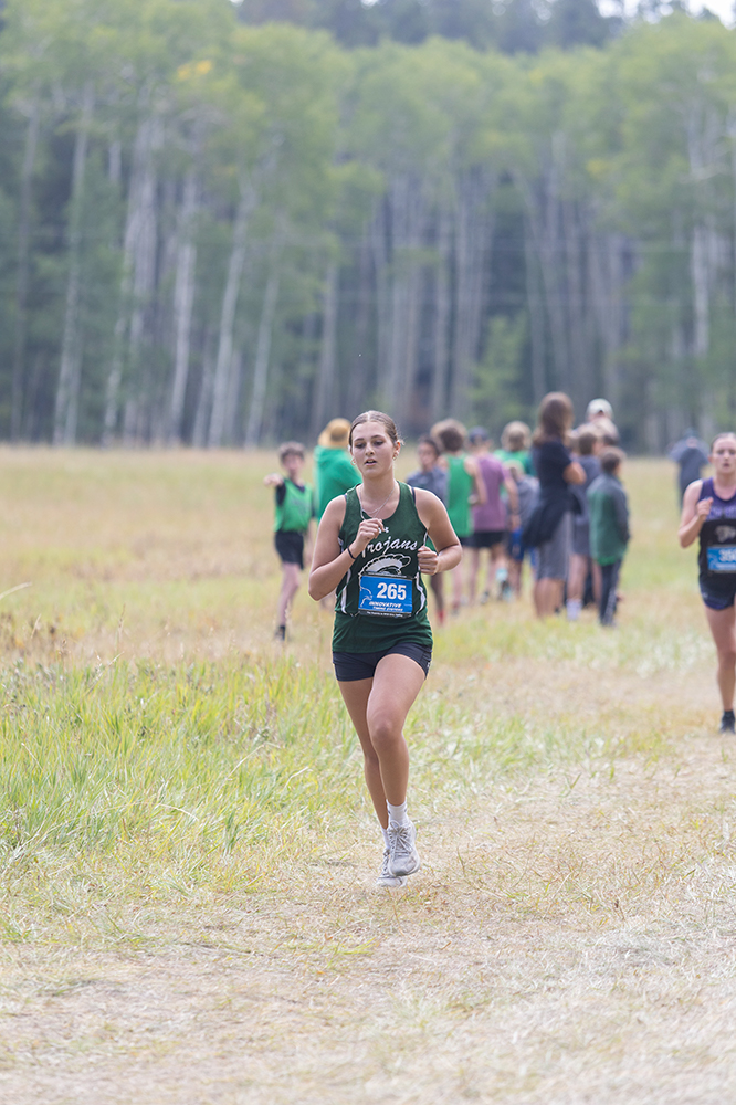 %_tempFileName1M6A8559%