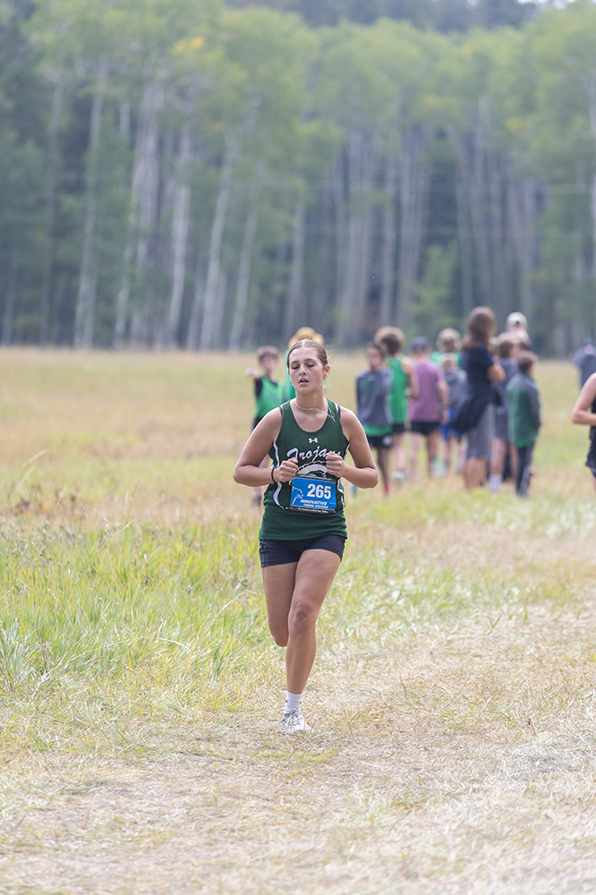 %_tempFileName1M6A8562%