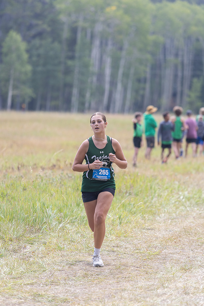 %_tempFileName1M6A8564%