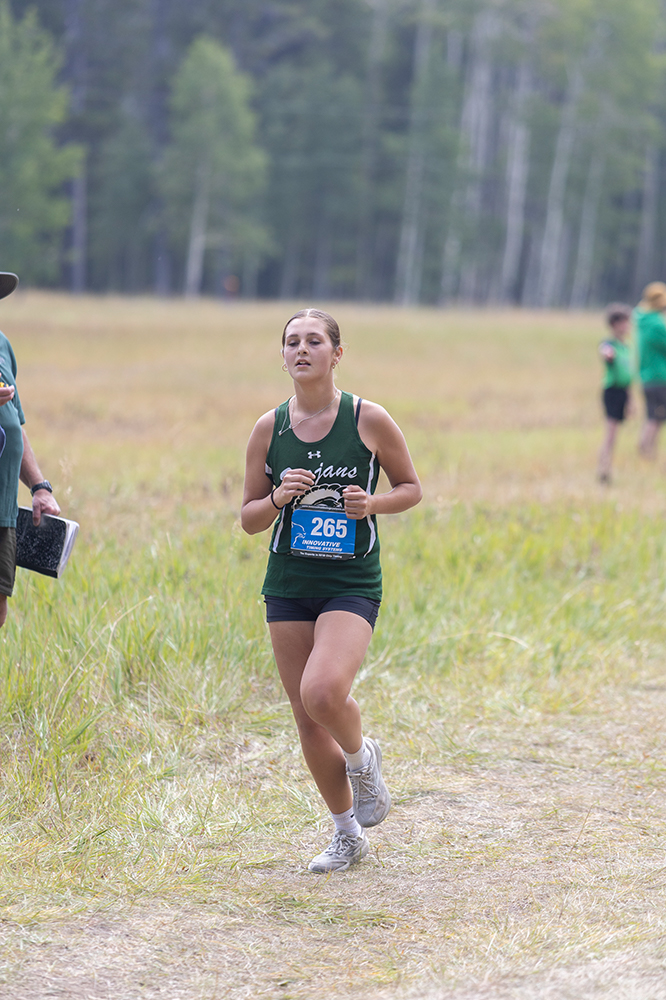 %_tempFileName1M6A8571%