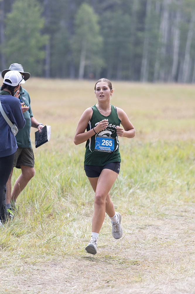 %_tempFileName1M6A8573%