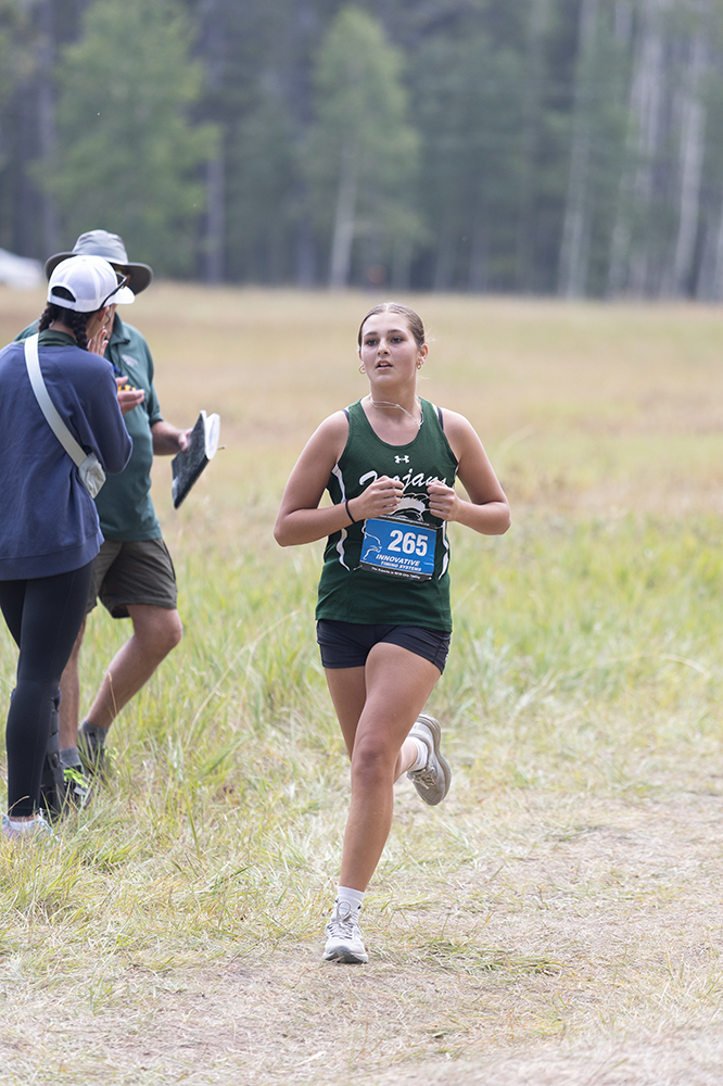 %_tempFileName1M6A8574%