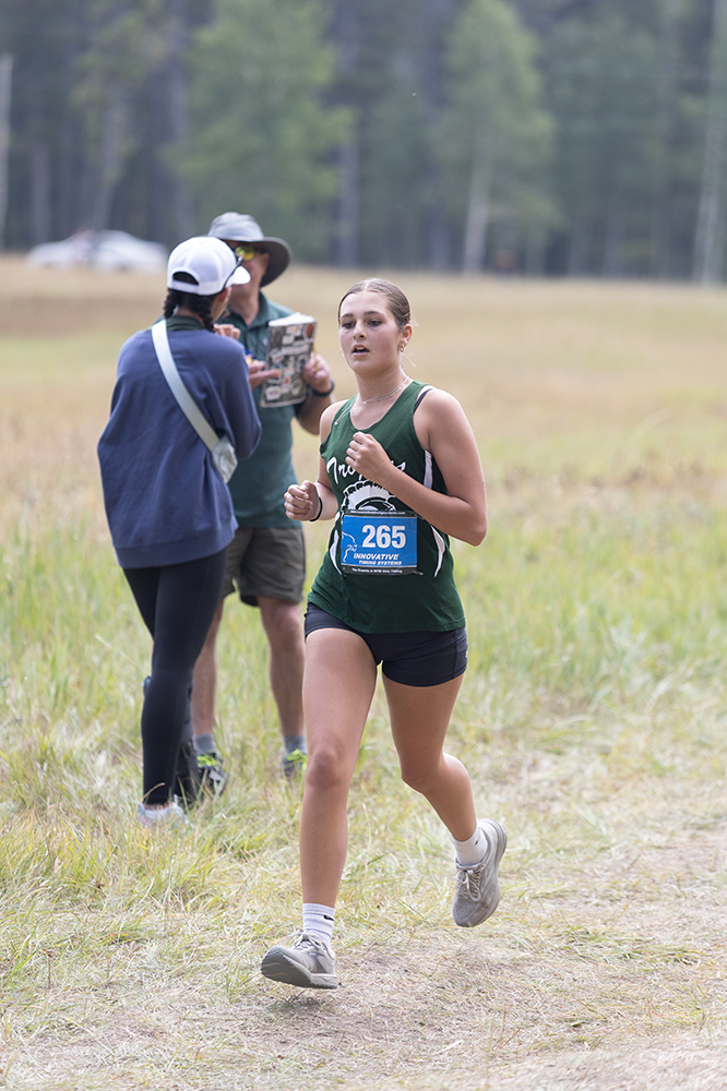 %_tempFileName1M6A8578%