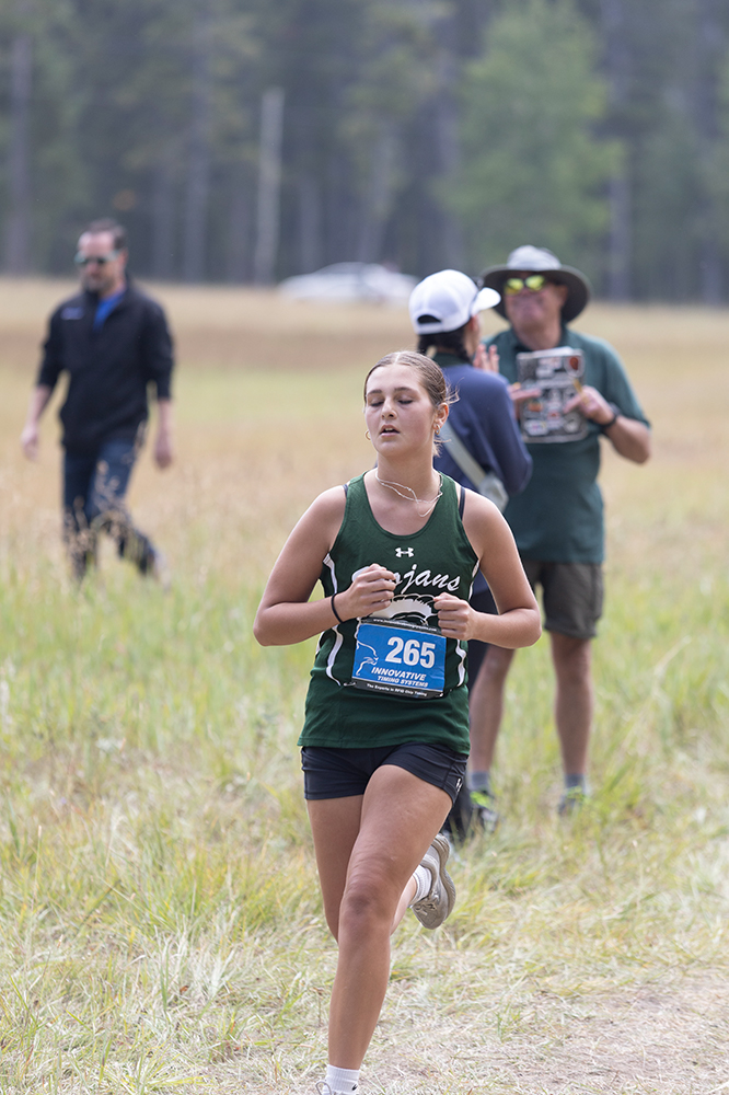 %_tempFileName1M6A8579%