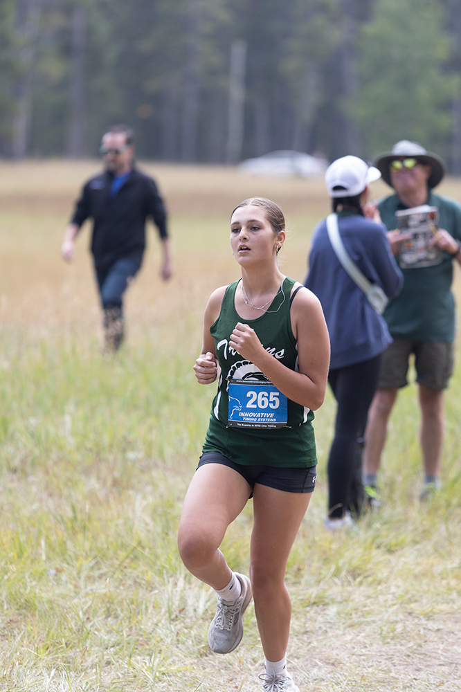 %_tempFileName1M6A8581%