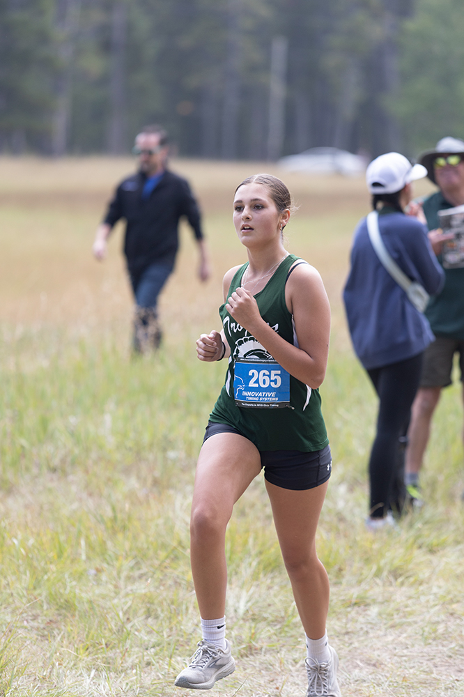 %_tempFileName1M6A8582%